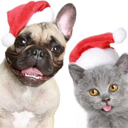 Pet Santa Hat