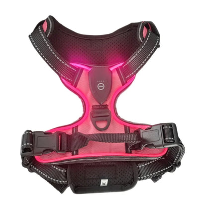 LED Luminous Harness