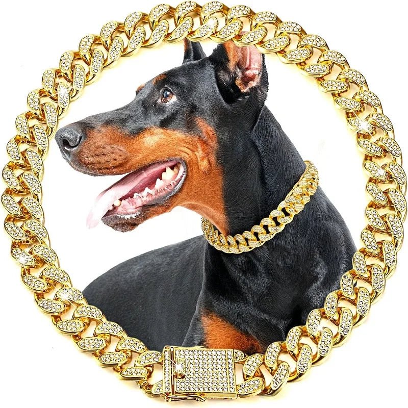 Golden Luxury Chain Collar