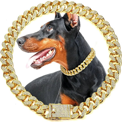Golden Luxury Chain Collar
