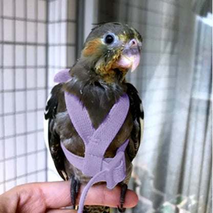 Bird Flying Harness