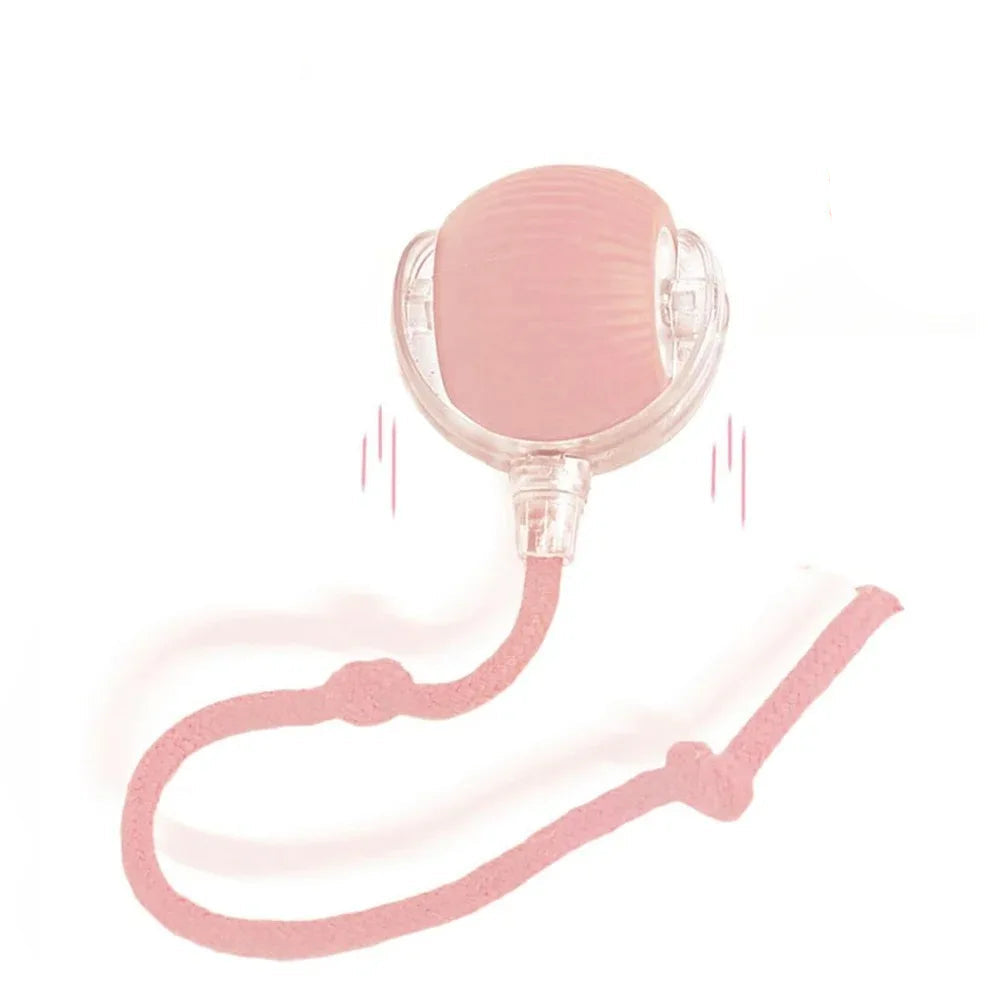 Interactive Ball Toy 2