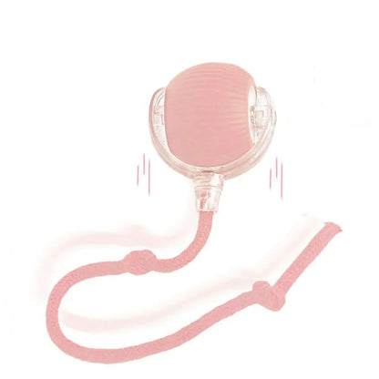 Interactive Ball Toy 2