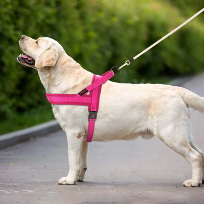 Reflective No-Pull Padded Harness