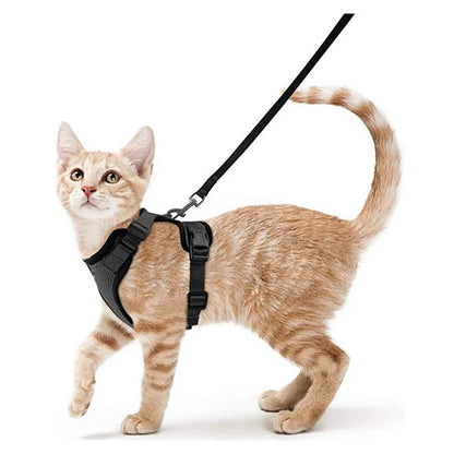 Cat Harness and Leash 3