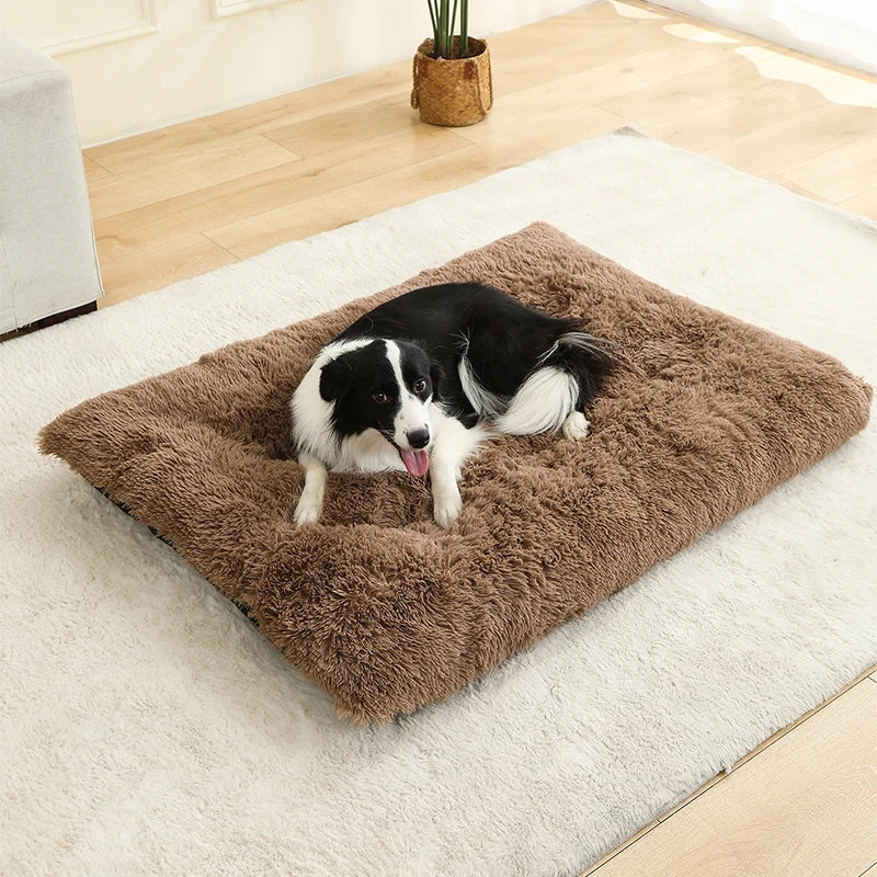 Square Plush Bed 4