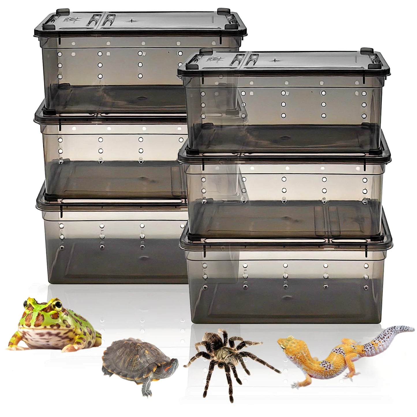 Reptile Transport Container