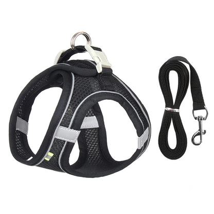 Adjustable Harness Set – Leash Included