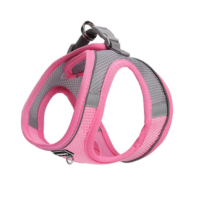 Adjustable Harness Set – Breathable Vest with Leash