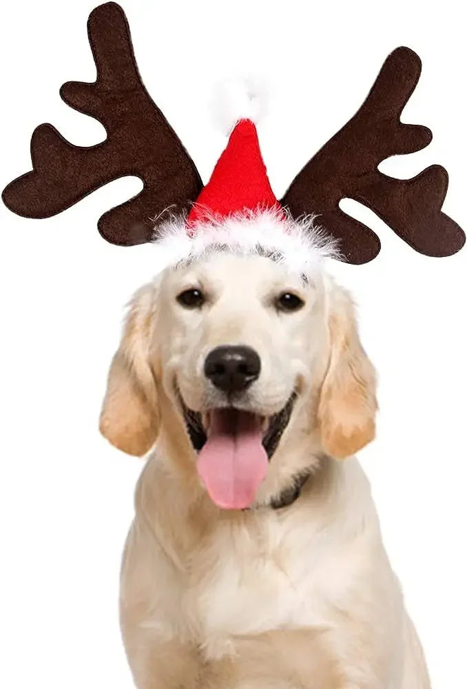 Christmas Pet Antler Headband