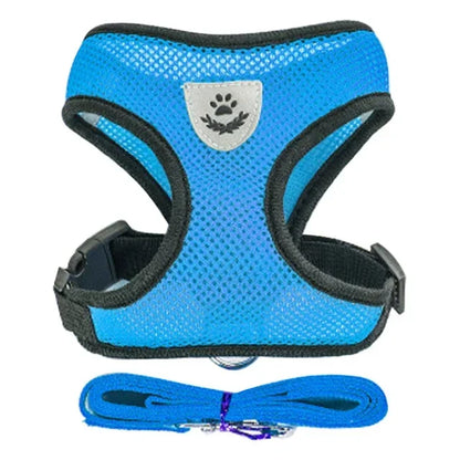 Cat Harness and Leash 8