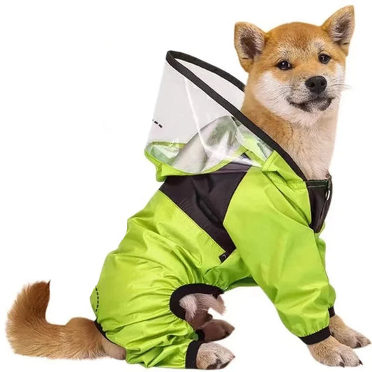 Raincoat 1
