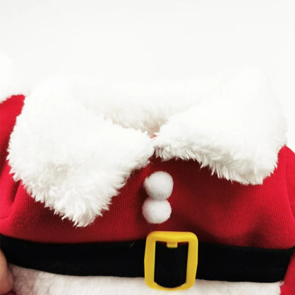 Dog Santa Costume