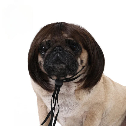 DIY Pet Wig