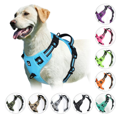 No-Pull Padded Harness