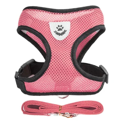 Cat Harness and Leash 8
