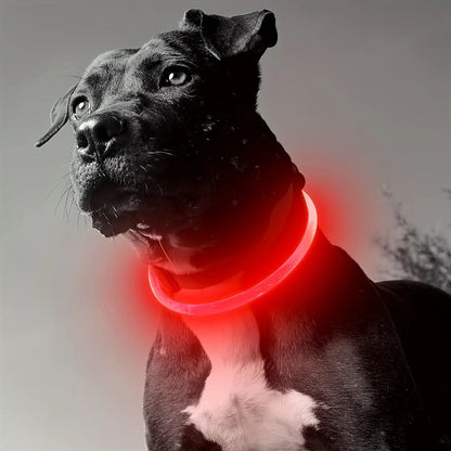 LED Collar