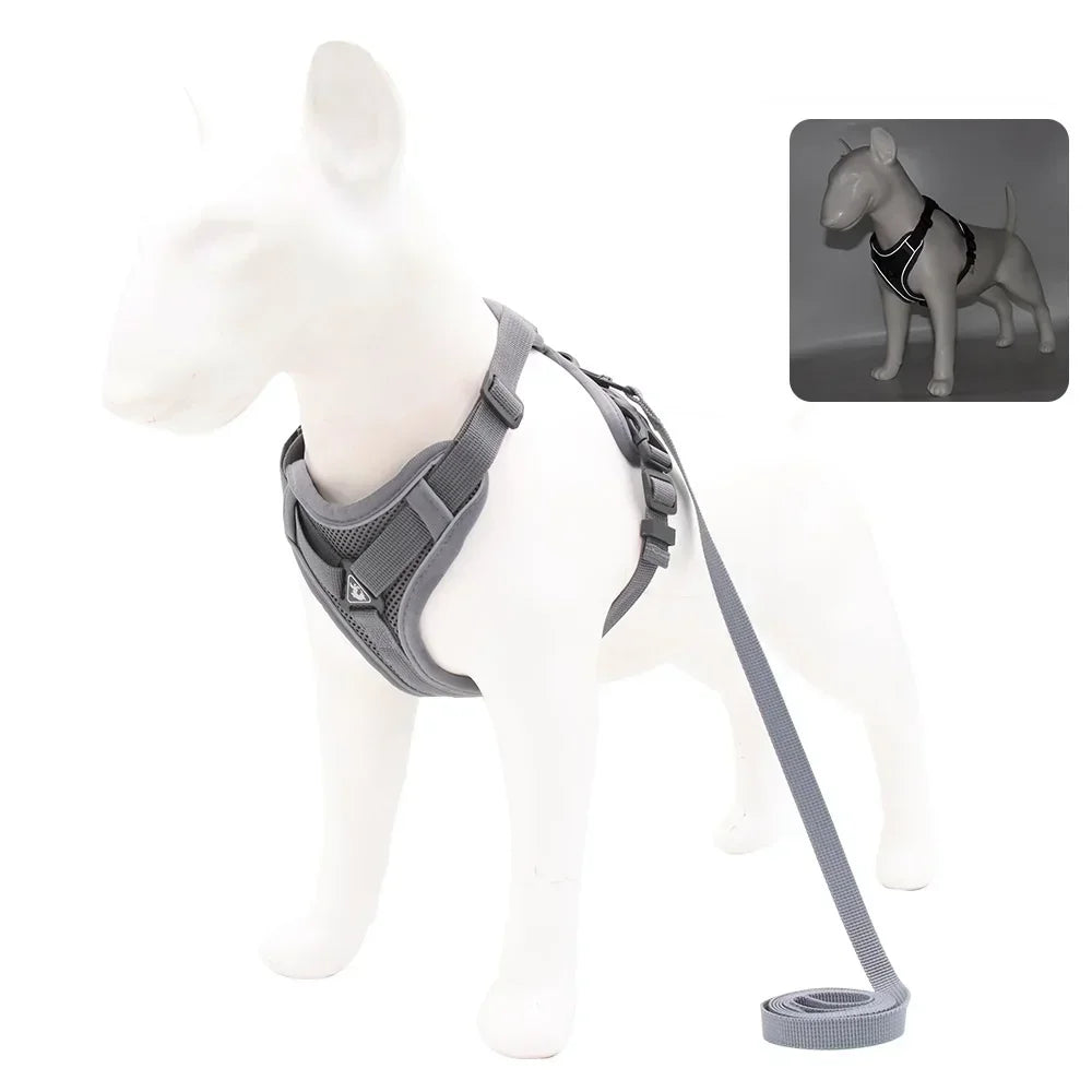 No-Pull Harness Set with 1.5m Traction Leash