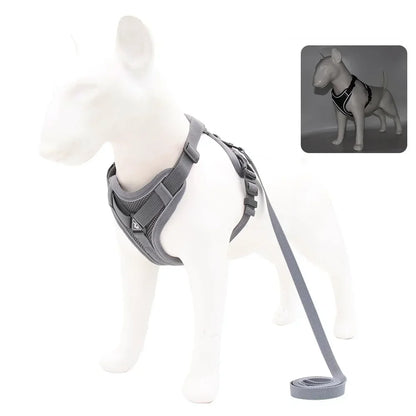 No-Pull Harness Set with 1.5m Traction Leash