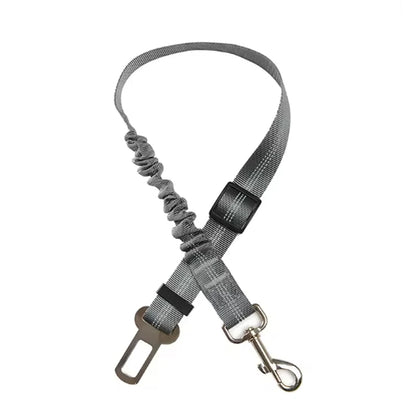 Car Safety Seat Belt Leash