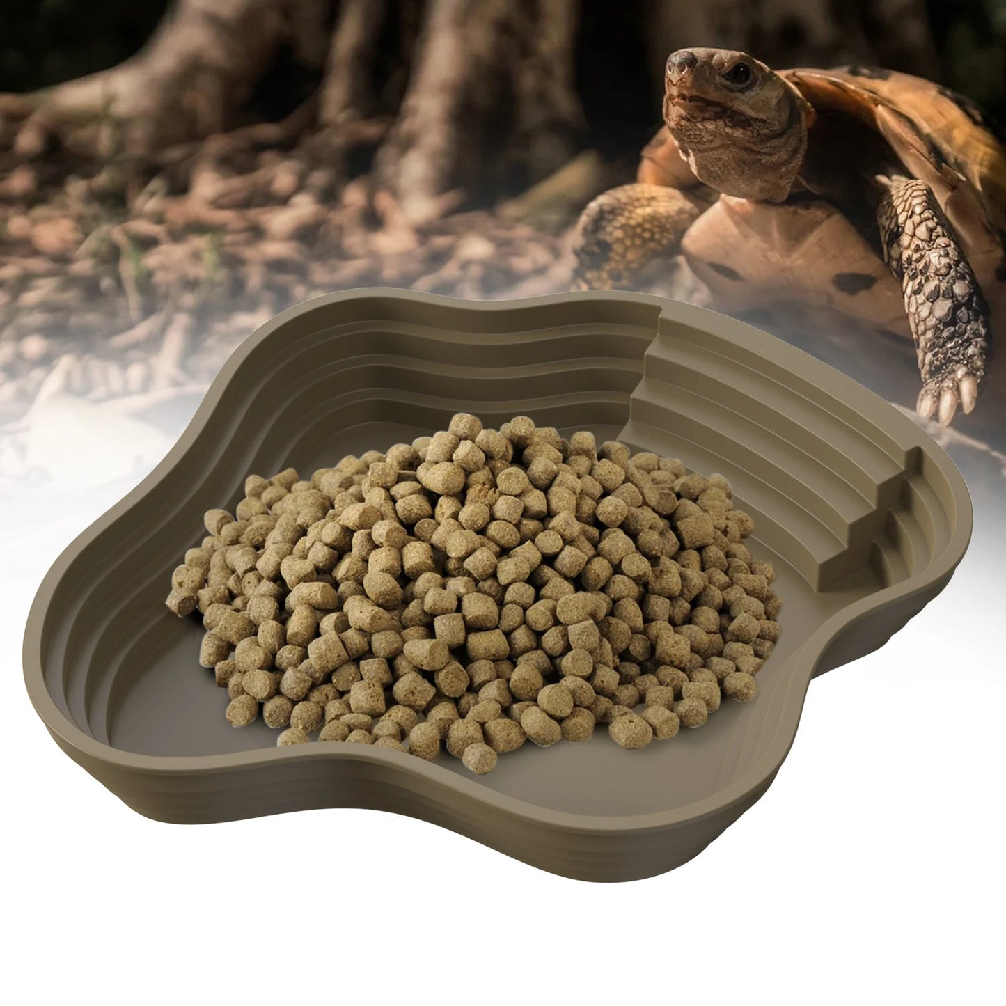 Reptile Feeding Bowl