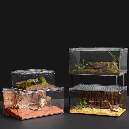 Acrylic Terrarium