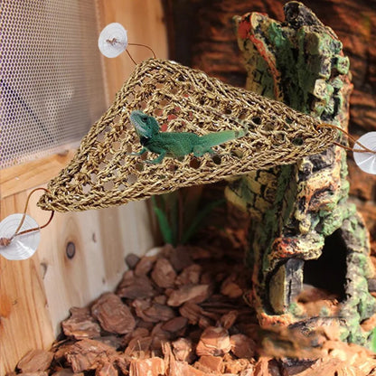 Bearded Dragon Hammock