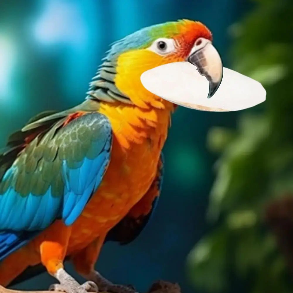 Bird Natural Cuttlebone Set (10pcs)