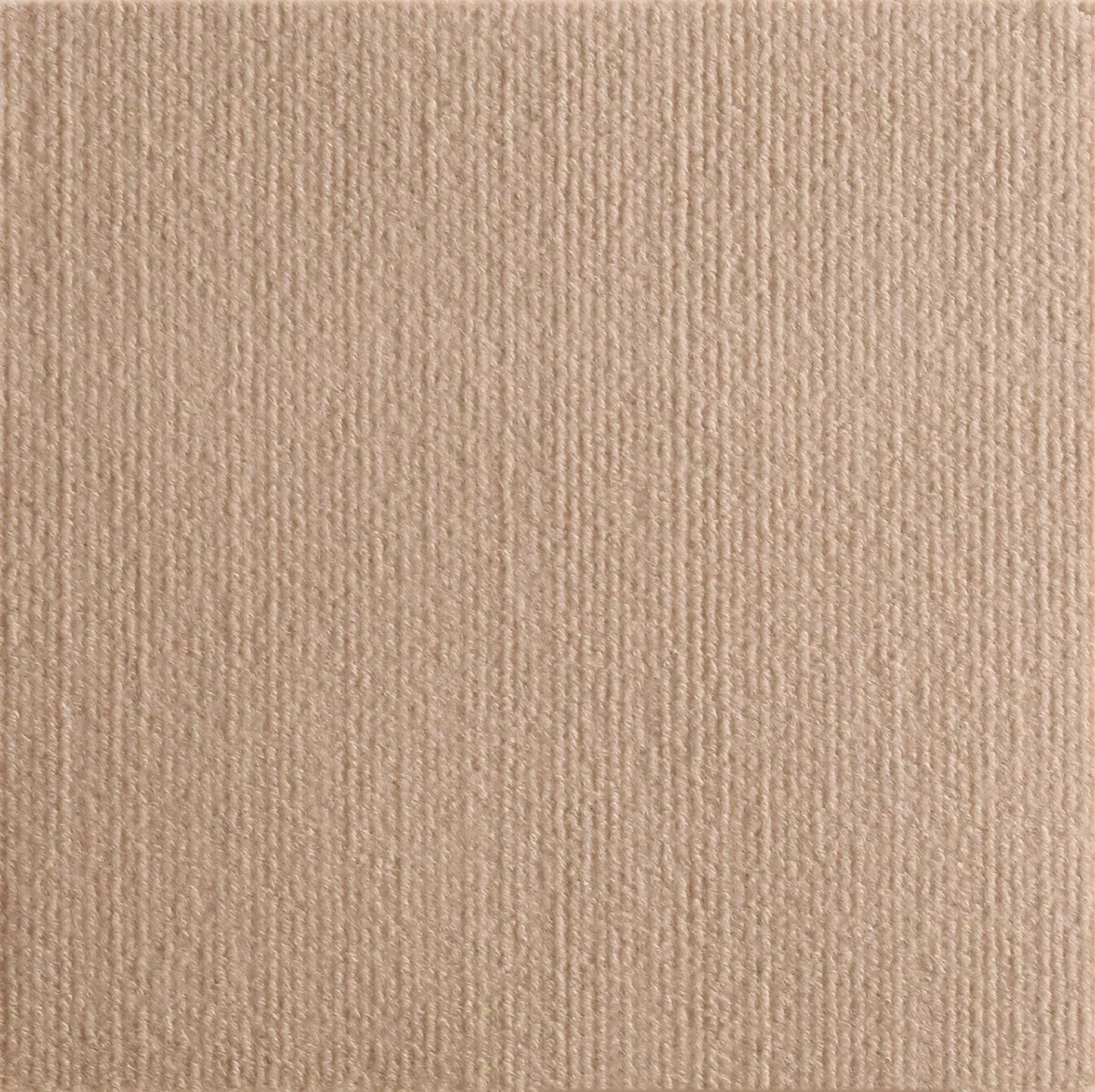 Cat Scratcher Protector Mat 7