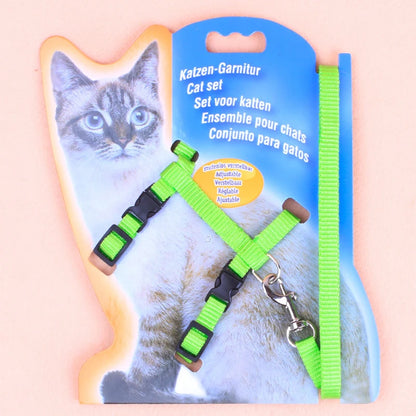 Cat Harness and Leash 1