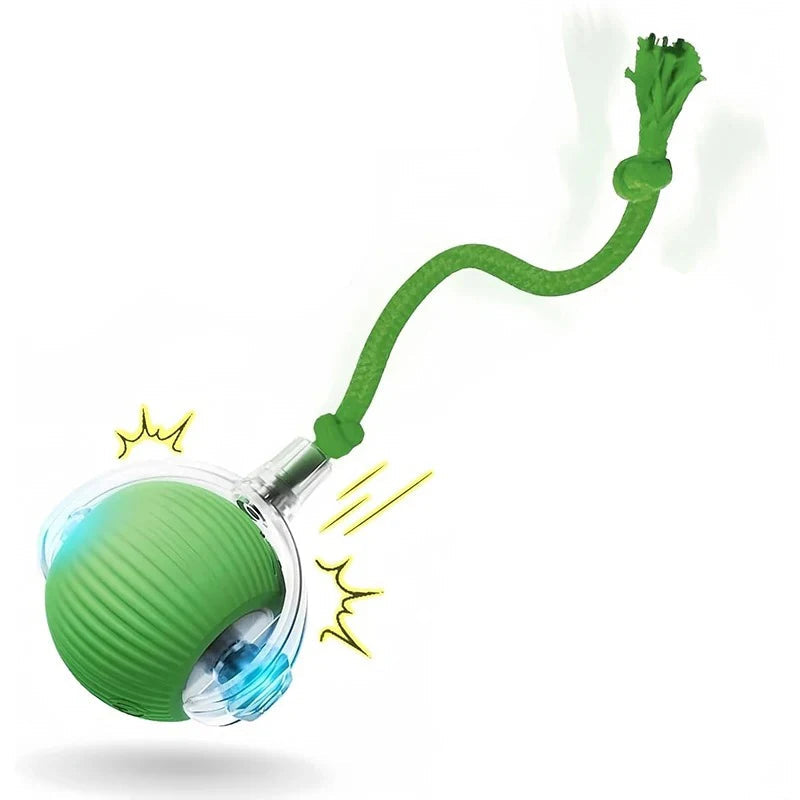 Automatic Rolling Rechargeable Dog Toy