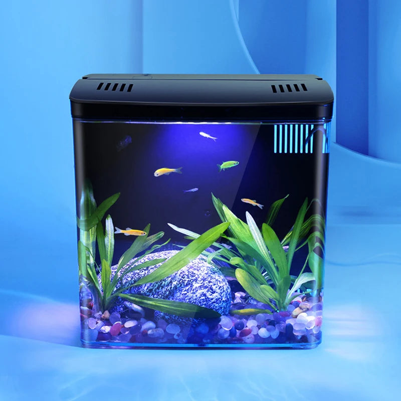 Mini Ecological Fish Tank