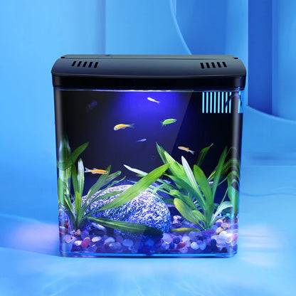 Mini Ecological Fish Tank