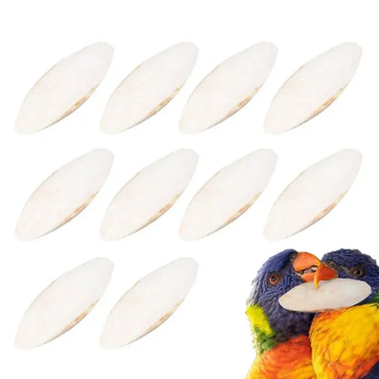 Bird Natural Cuttlebone Set (10pcs)
