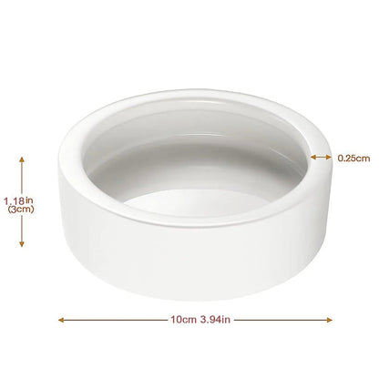 Reptile Ceramic Feeding Bowl