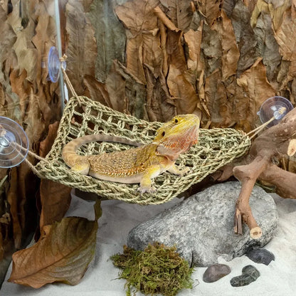 Bearded Dragon Hammock