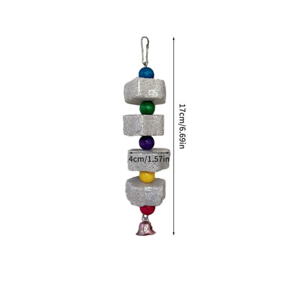 Bird Volcanic Rock Molar 1