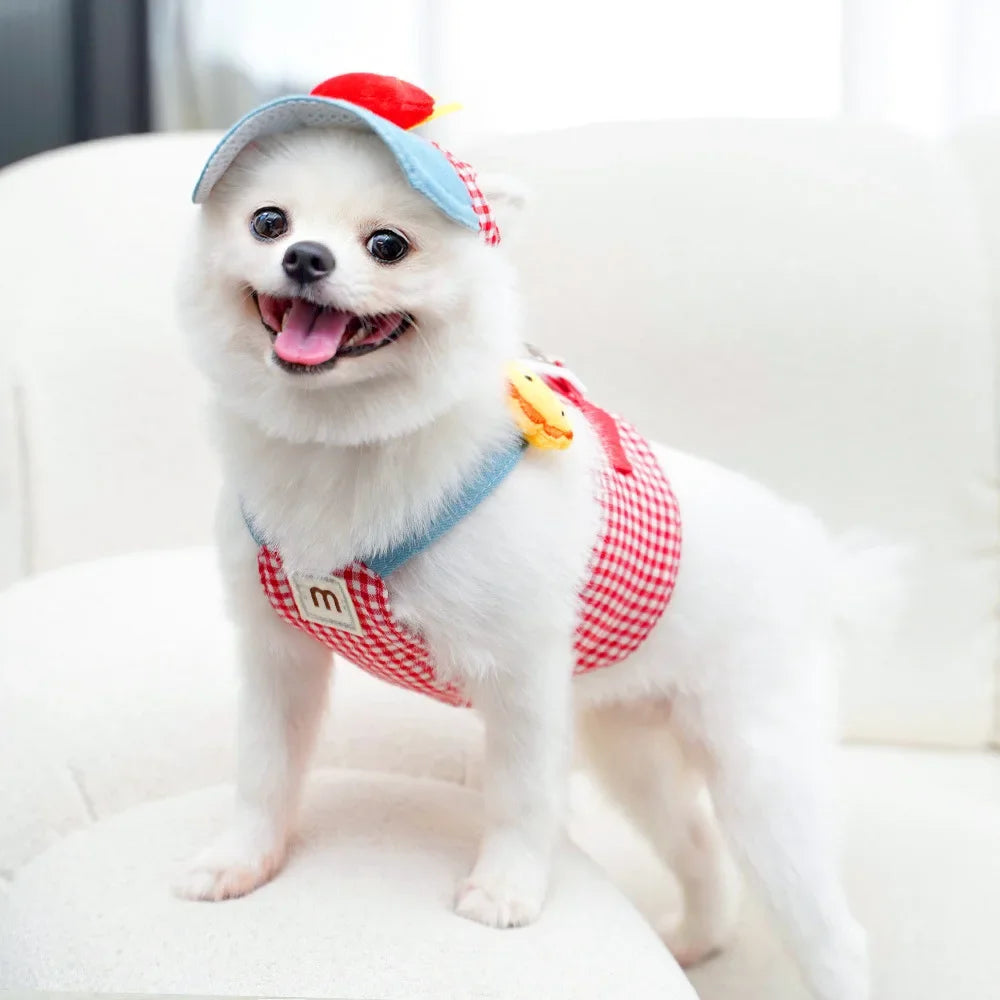 Harness, Leash & Sun Hat Set – 3pcs