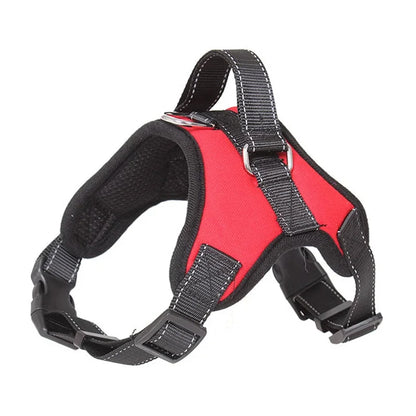 No-Pull Chest Strap Harness
