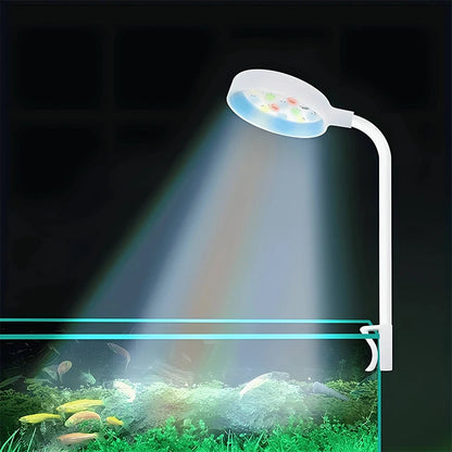 Aquarium Light