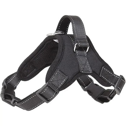 No-Pull Chest Strap Harness