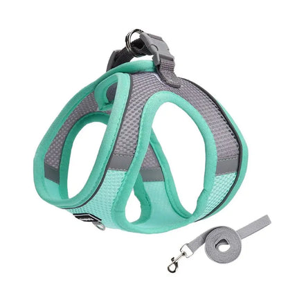 Adjustable Harness Set – Breathable Vest with Leash