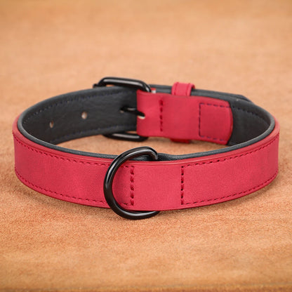 Soft Padded Collars For Large Dogs