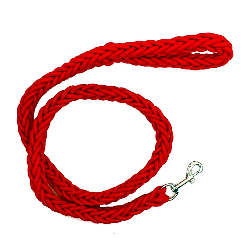 Nylon Leash