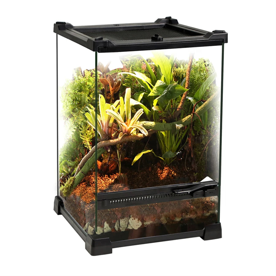 Tempered Glass Terrarium