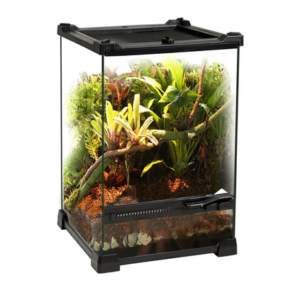 Tempered Glass Terrarium