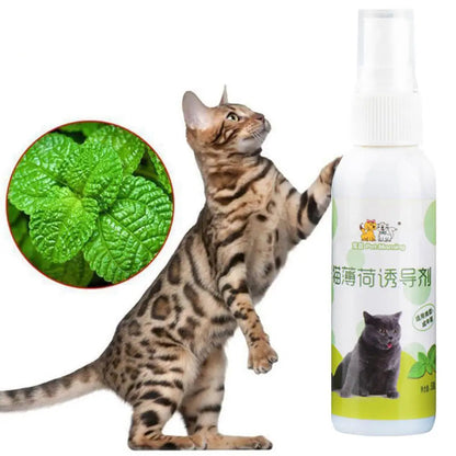 Catnip Spray Inducer