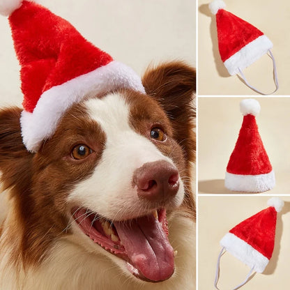Pet Santa Hat