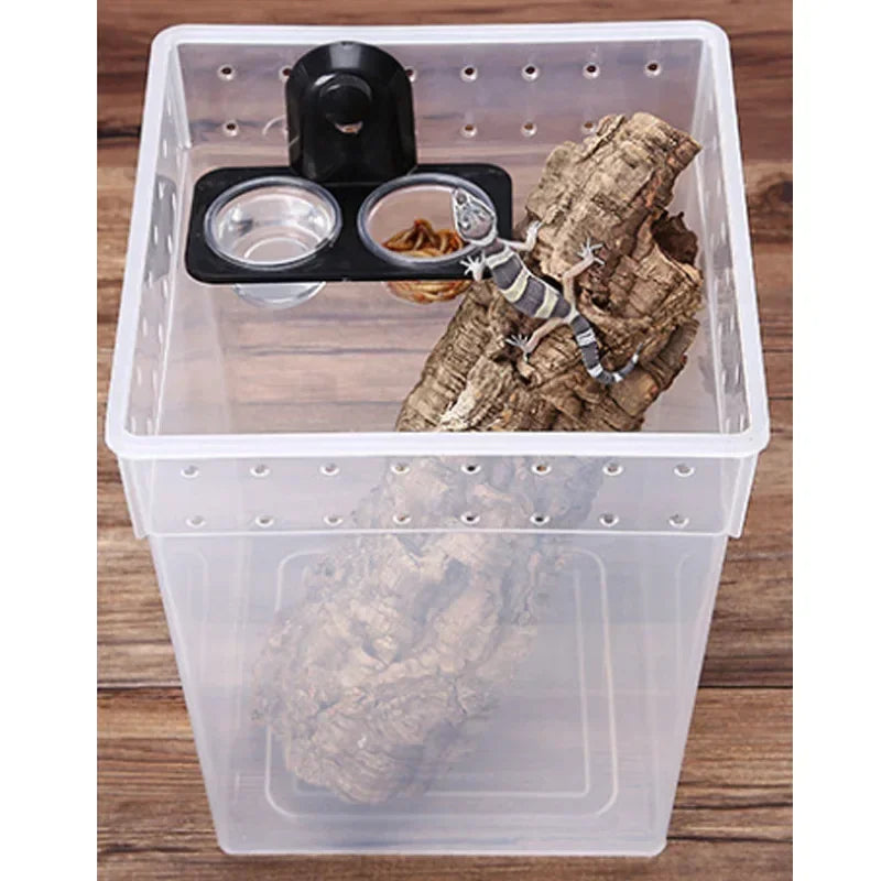 Reptile Suction Cup Feeding Bowl