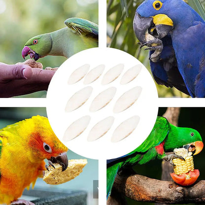 Bird Natural Cuttlebone Set (10pcs)